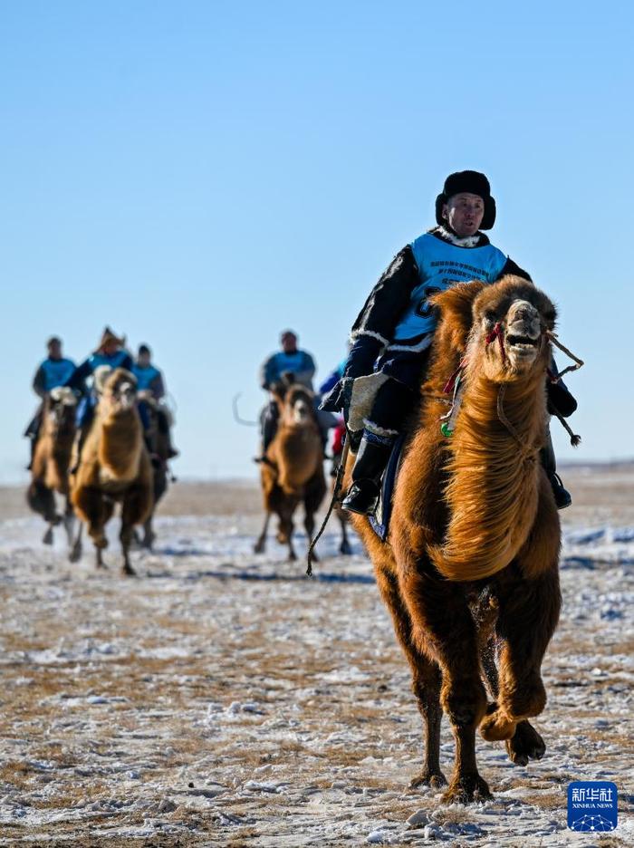 ?ыс?ы жайлауда?ы т?йе б?йгес?