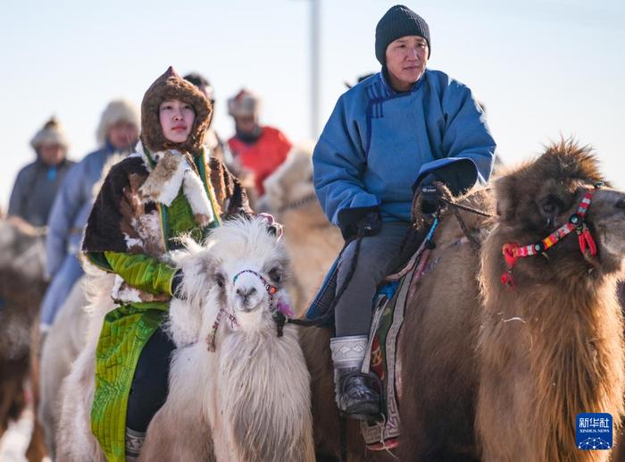 ?ыс?ы жайлауда?ы т?йе б?йгес?