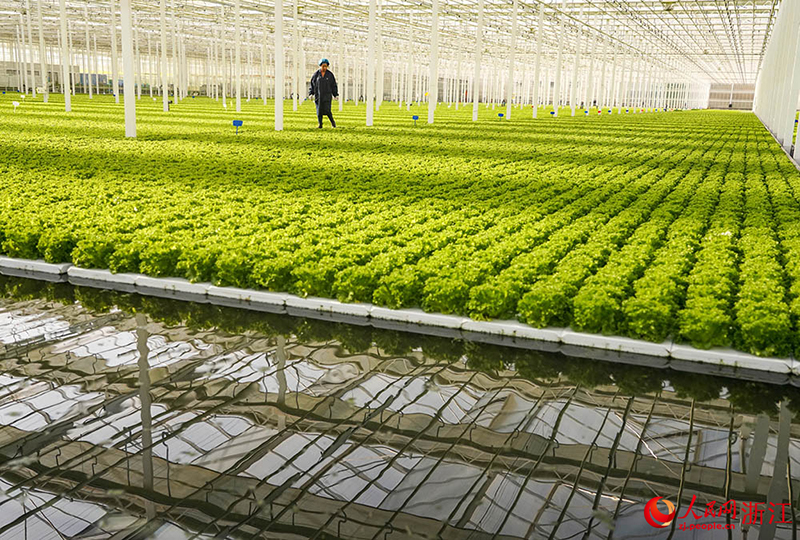 Цзяшань, Чжэцзян: А?ылды ауыл шаруашылы?ы к?к?н?спен ?амтамасыз етуге кеп?лд?к беред?