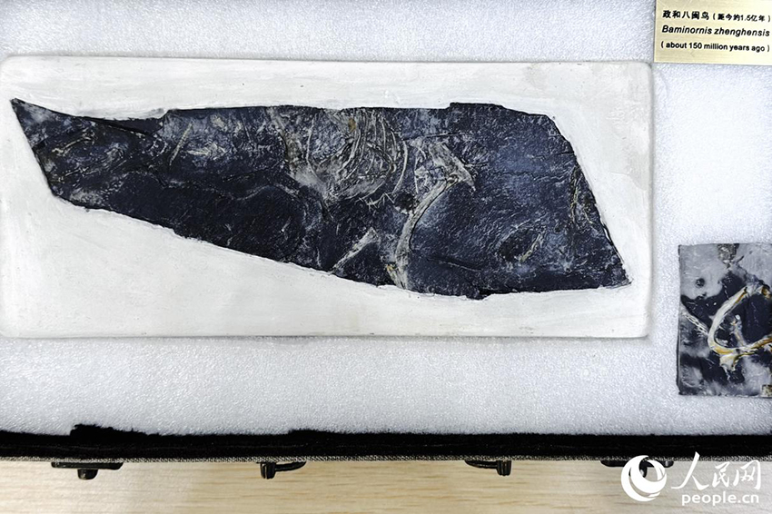 ?ытайда ?лемдег? е? к?не ??с табылды