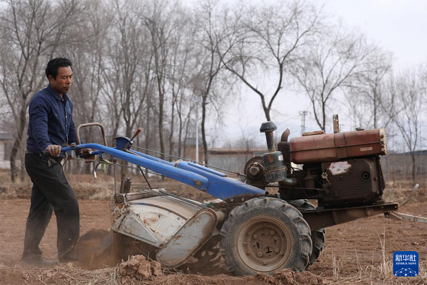 К?ктем кел?п атыз басы ?ауырт ж?мыс?а к?шт?