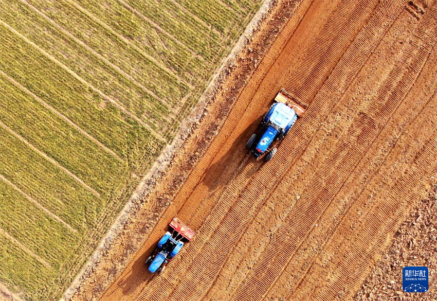 К?ктем кел?п атыз басы ?ауырт ж?мыс?а к?шт?