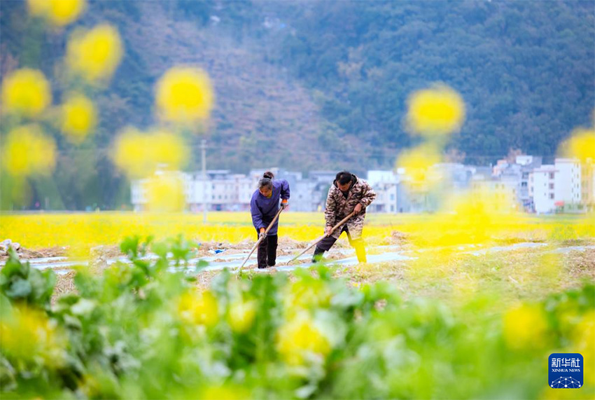 К?ктем кел?п атыз басы ?ауырт ж?мыс?а к?шт?