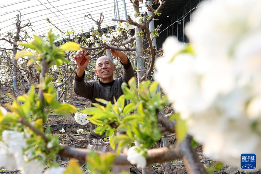 К?ктем кел?п атыз басы ?ауырт ж?мыс?а к?шт?