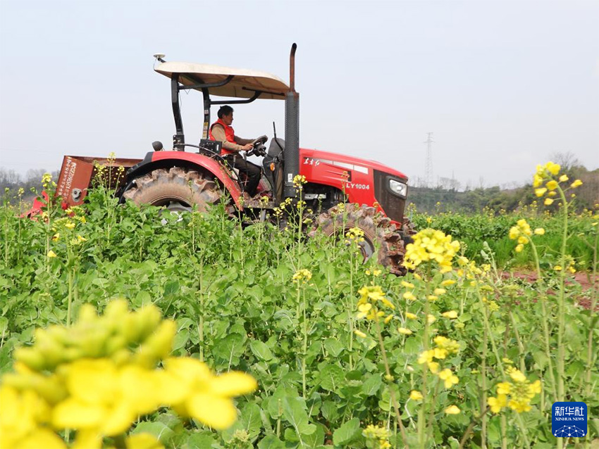 К?ктем кел?п атыз басы ?ауырт ж?мыс?а к?шт?