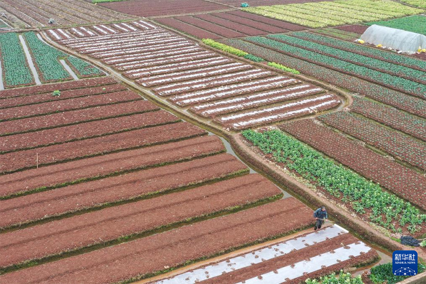 К?ктем кел?п атыз басы ?ауырт ж?мыс?а к?шт?