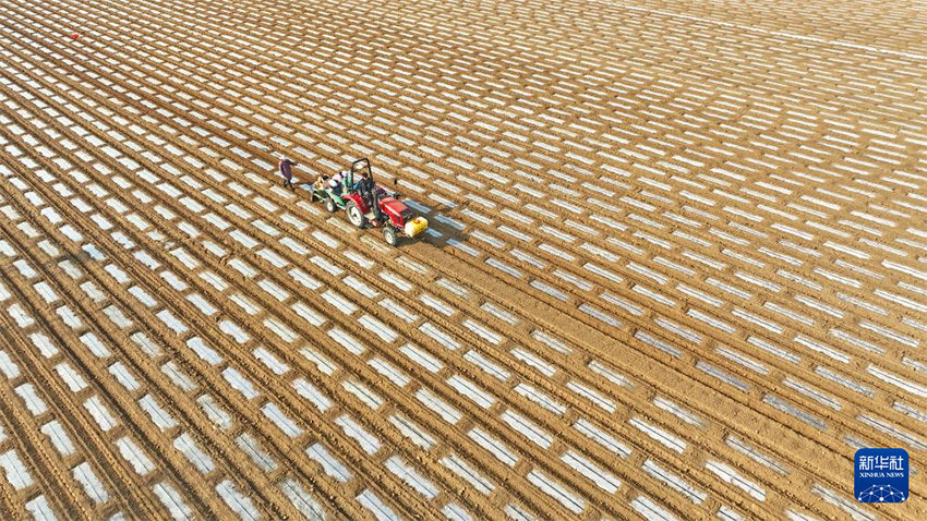 К?ктем кел?п атыз басы ?ауырт ж?мыс?а к?шт?