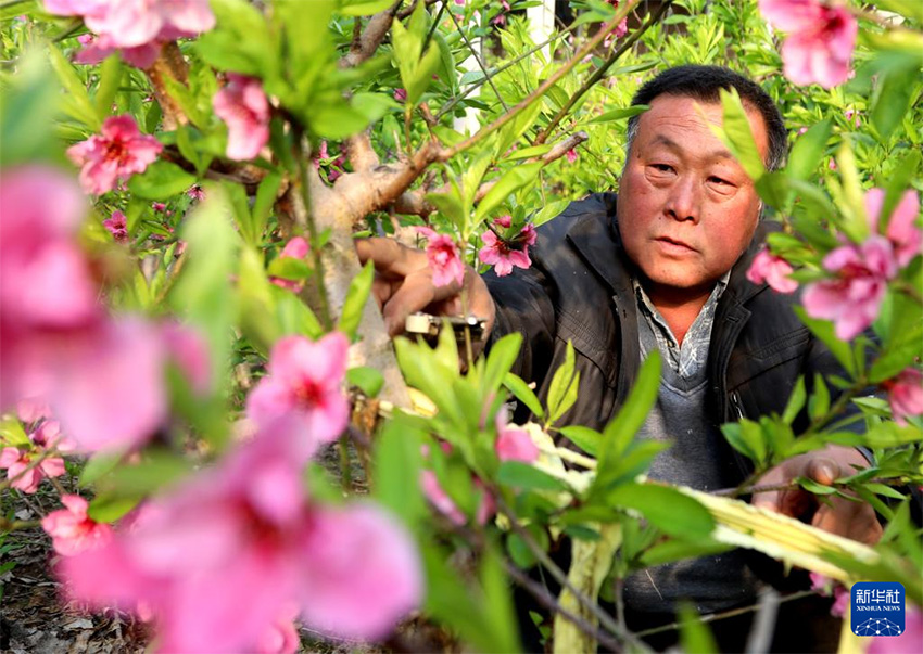 К?ктем кел?п атыз басы ?ауырт ж?мыс?а к?шт?