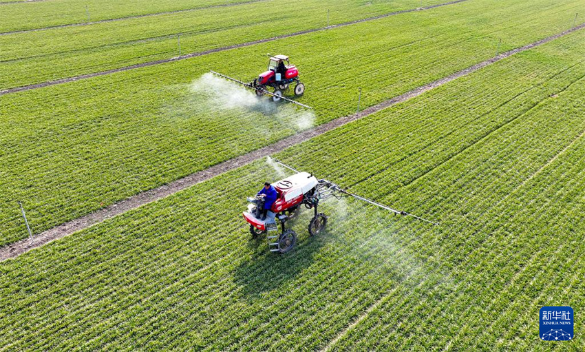 К?ктем кел?п атыз басы ?ауырт ж?мыс?а к?шт?