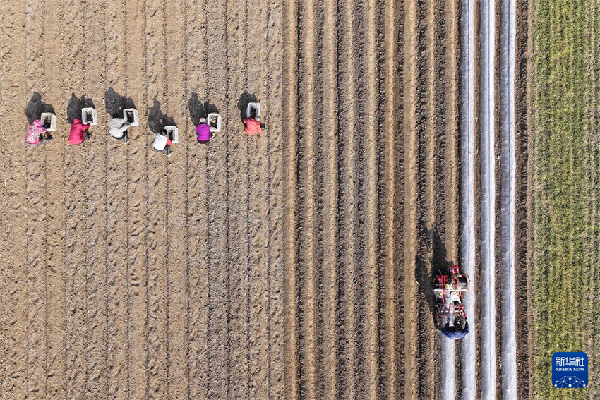 К?ктем кел?п атыз басы ?ауырт ж?мыс?а к?шт?