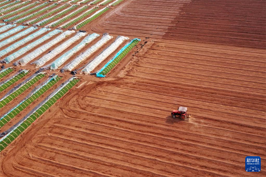 К?ктем кел?п атыз басы ?ауырт ж?мыс?а к?шт?