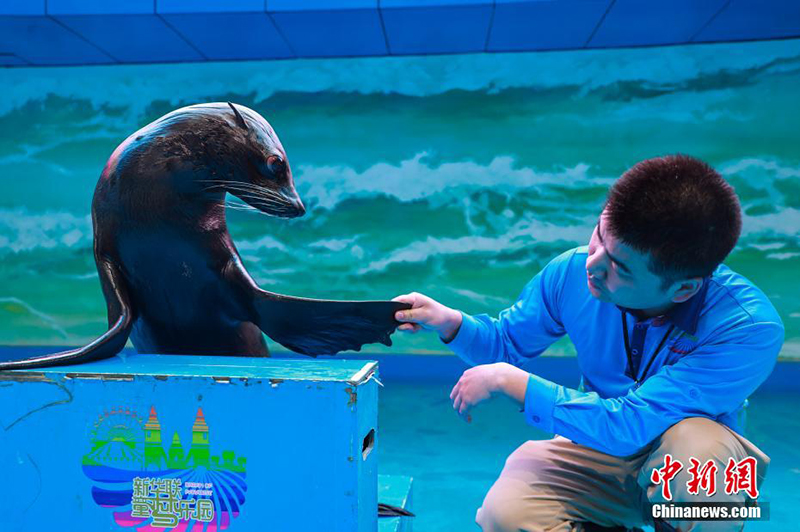 Те??з де?гей?нен е? би?к жердег? те??з жануарлары ?денсаулы? тексеру?нен? ?тт?