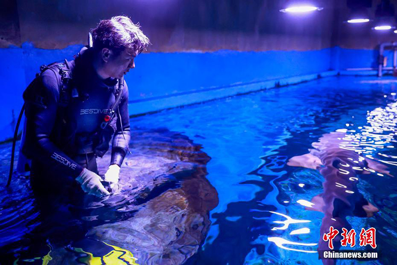 Те??з де?гей?нен е? би?к жердег? те??з жануарлары ?денсаулы? тексеру?нен? ?тт?