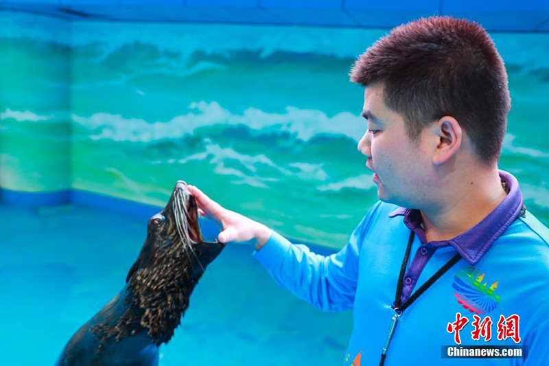 Те??з де?гей?нен е? би?к жердег? те??з жануарлары ?денсаулы? тексеру?нен? ?тт?