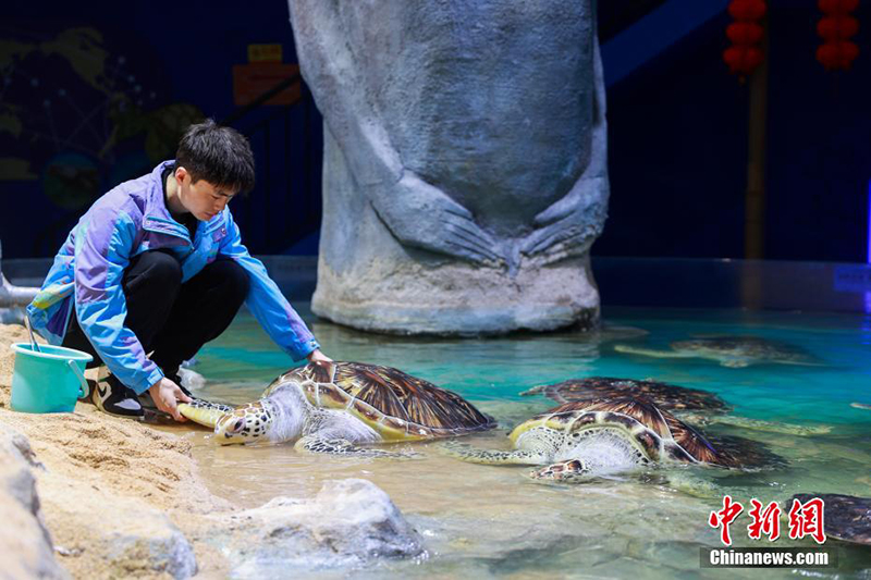 Те??з де?гей?нен е? би?к жердег? те??з жануарлары ?денсаулы? тексеру?нен? ?тт?