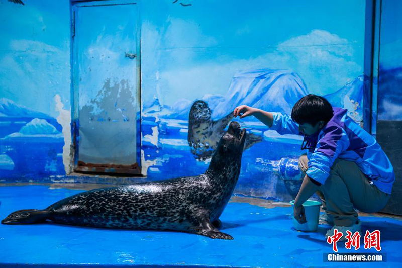 Те??з де?гей?нен е? би?к жердег? те??з жануарлары ?денсаулы? тексеру?нен? ?тт?