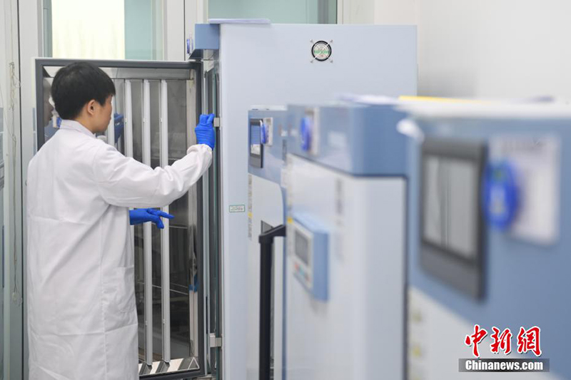 Цзюцюань: Молекулалы? т??ым жет?лд?ру технологиясы ар?ылы т??ым ?нд?р?л?п жатыр