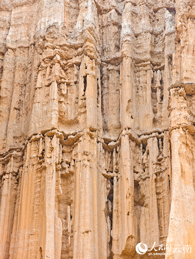 Юаньмоу, Юньнань: к?р?кт? топыра? орманы