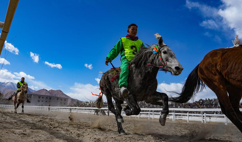 Сицзанны? Лхаса ?аласында д?ст?рл? этникалы? ат ?ст? спорт ойындары ?тт?