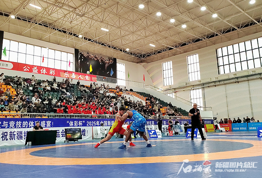 Т?рт ел балуандары Т?рпанда к?ш сынасты