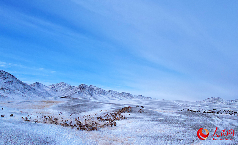 Шы?жа?ны? Алтайында?ы малшылар к?ктеул?кке к?шт?