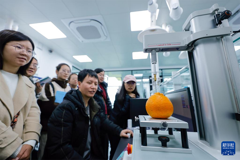 Т??ым ?нерк?с?б?н?? ??рылысы ?Батыс ?ытай к?к?н?с астанасыны?? дамуына серп?н беред?