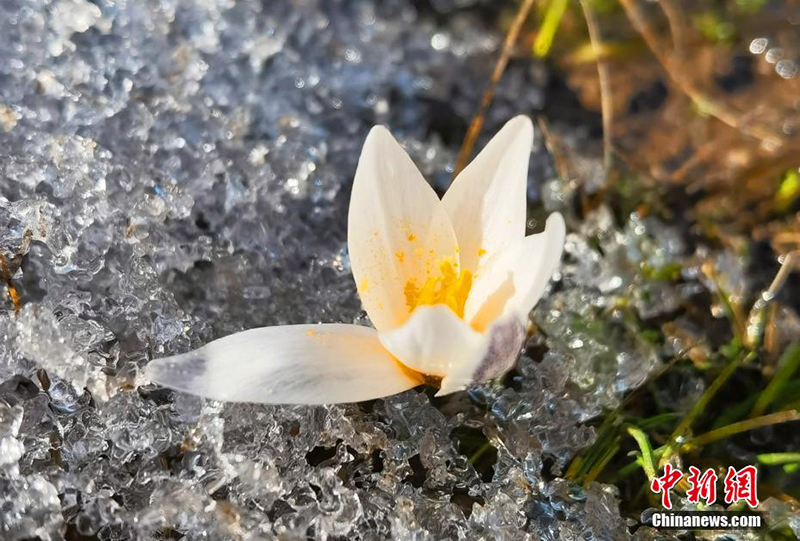 Шы?жа? ?леде б?йшешектер ашылды