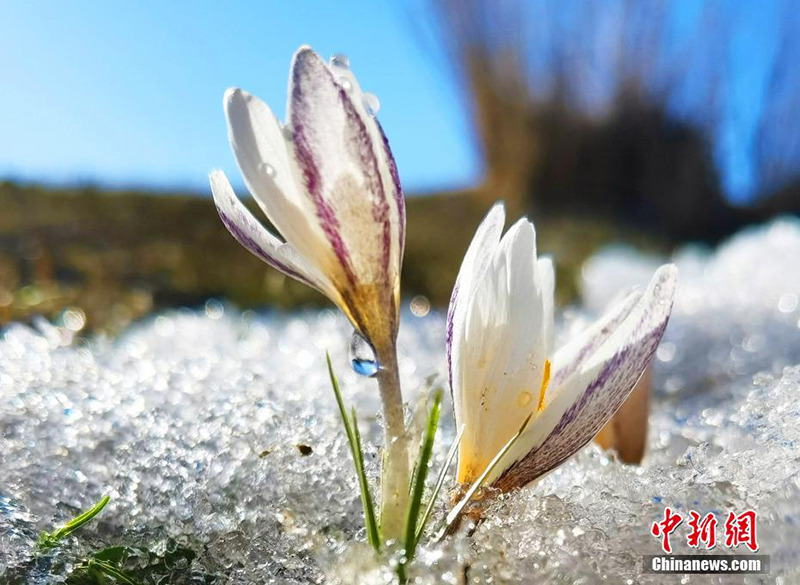 Шы?жа? ?леде б?йшешектер ашылды