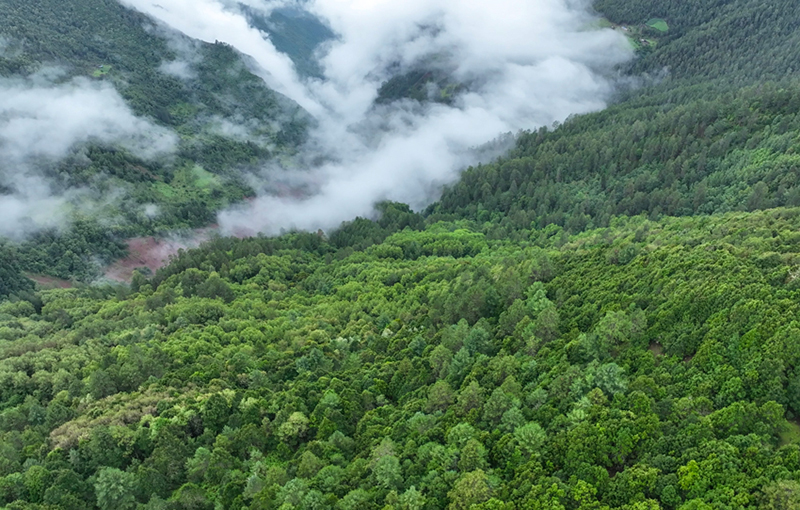 Юньнаньда?ы Тяньчи - Юньнань сабала? маймылдарыны? е? о?т?ст?к мекен?