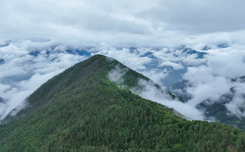 Юньнаньда?ы Тяньчи - Юньнань сабала? маймылдарыны? е? о?т?ст?к мекен?