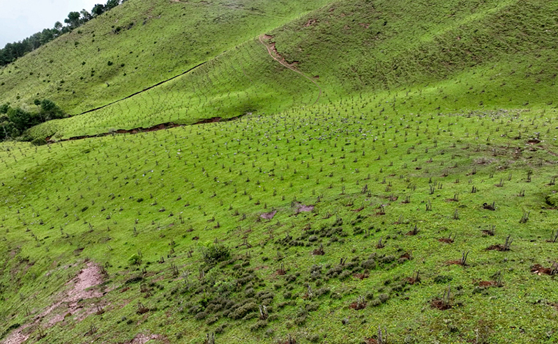 Юньнаньда?ы Тяньчи - Юньнань сабала? маймылдарыны? е? о?т?ст?к мекен?