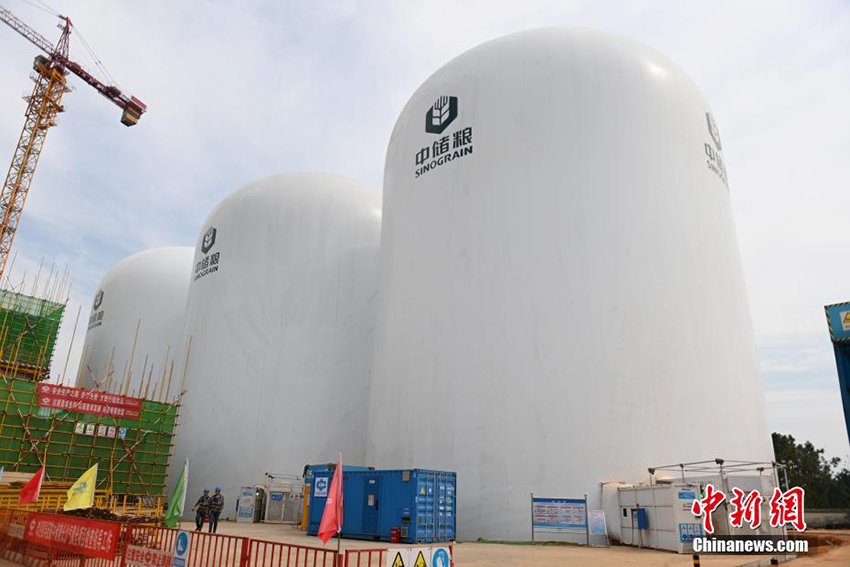 Хунаньда ?ытайды? жа?а буын ауалы мембраналы? асты? ?оймасы пайда болды