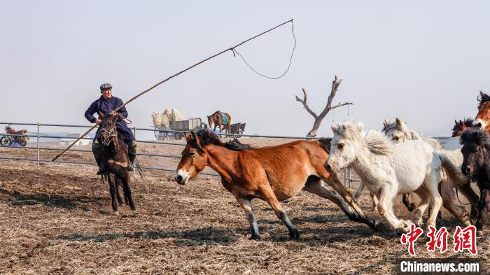 ?шк? Мо???лды? Залут ???р?нде тайлар?а там?а басты