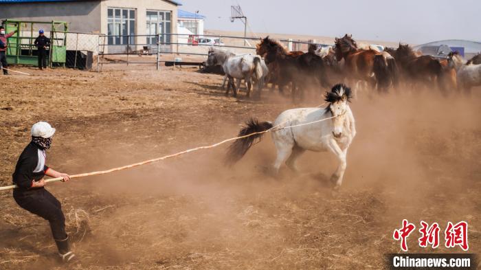 ?шк? Мо???лды? Залут ???р?нде тайлар?а там?а басты