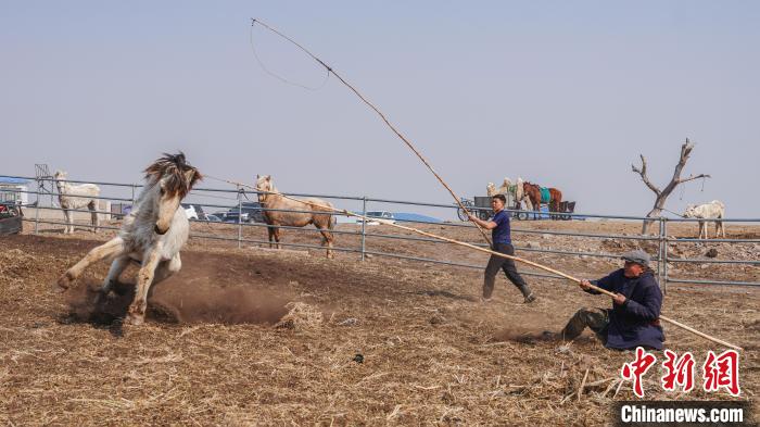 ?шк? Мо???лды? Залут ???р?нде тайлар?а там?а басты