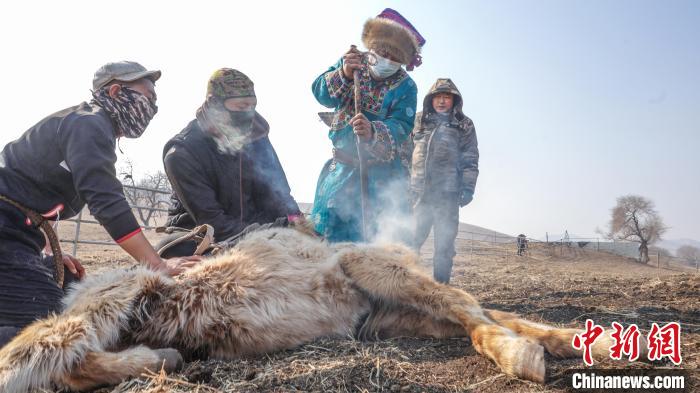 ?шк? Мо???лды? Залут ???р?нде тайлар?а там?а басты
