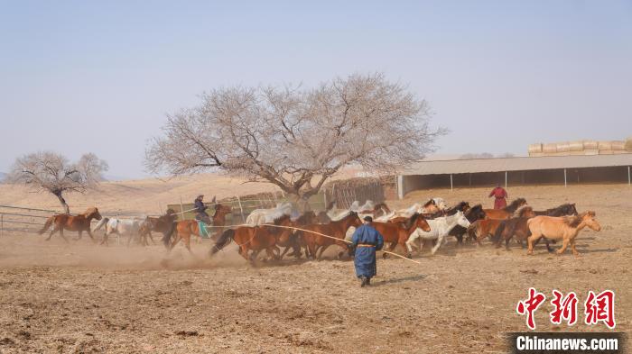 ?шк? Мо???лды? Залут ???р?нде тайлар?а там?а басты