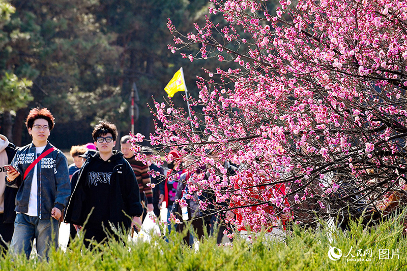 К?ктемде г?лдер жайнады