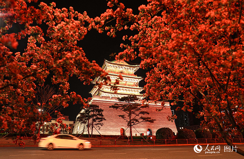 К?ктемде г?лдер жайнады