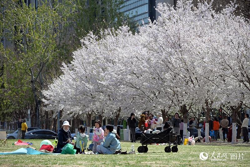 К?ктемде г?лдер жайнады