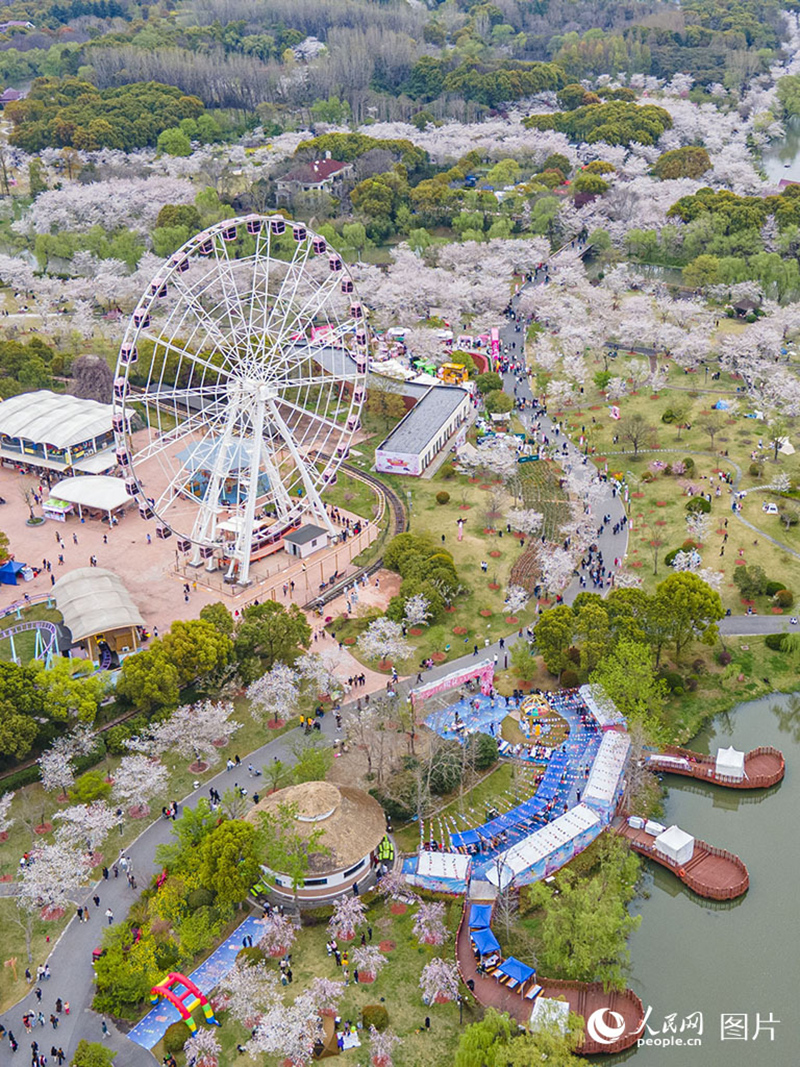 К?ктемде г?лдер жайнады