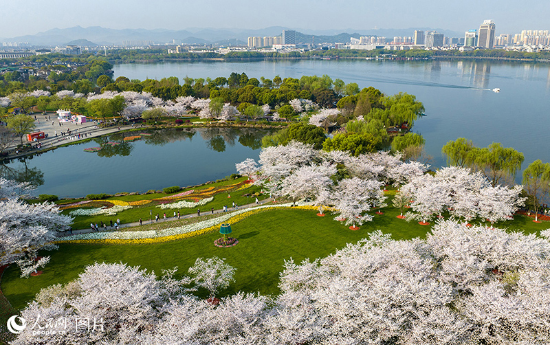 К?ктемде г?лдер жайнады