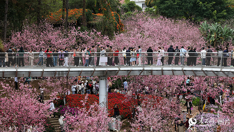 К?ктемде г?лдер жайнады