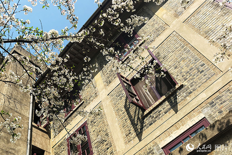 К?ктемде г?лдер жайнады