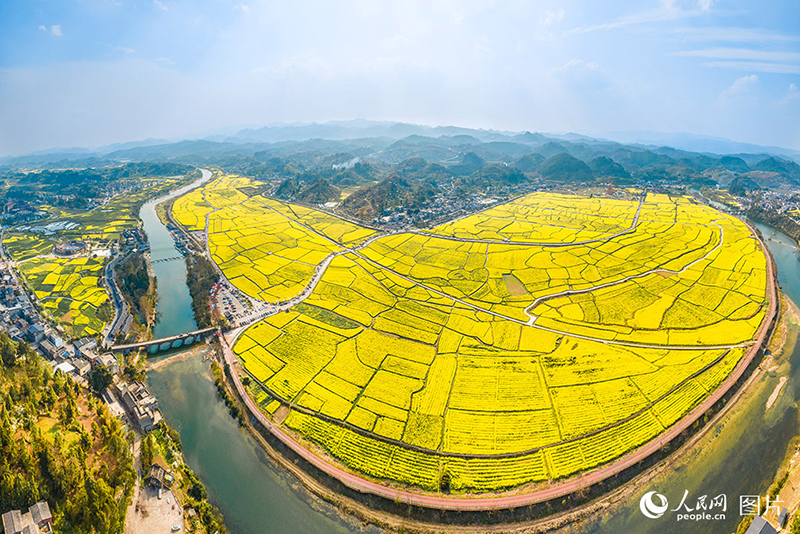 К?ктемде г?лдер жайнады