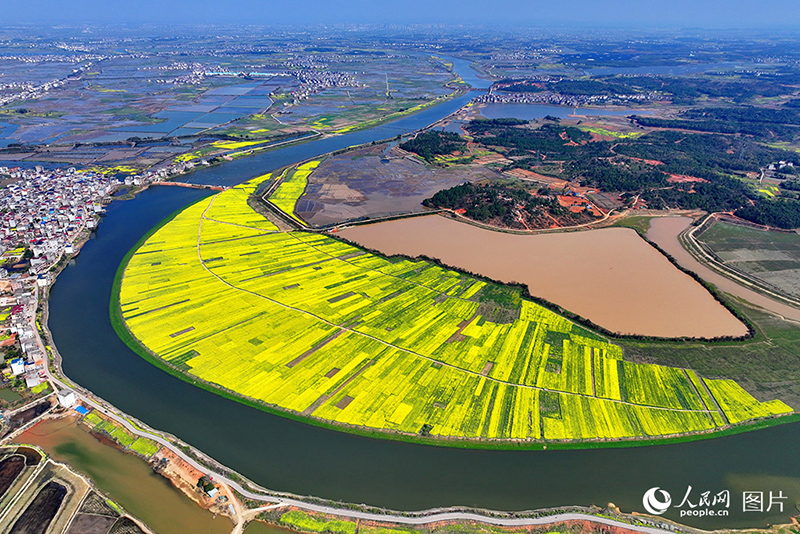 К?ктемде г?лдер жайнады
