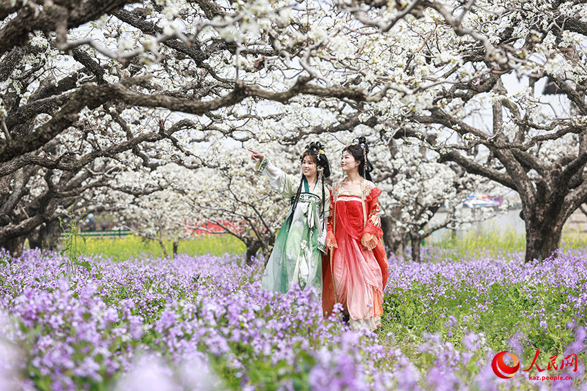 Даншань, Аньхой: Миллион алм?рт а?ашы г?лдер?