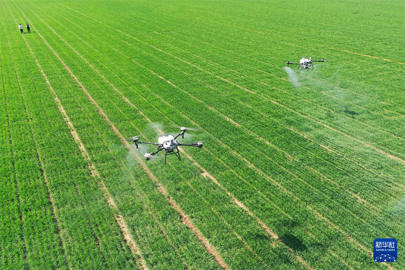 ?ытайда 120 миллион му-дан астам ег?нд?к суарылды