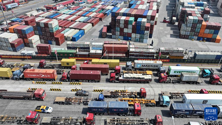 Шаньдун портыны? ж?к ж?не контейнер айналымы б?р?нш? то?санда ?с?м к?рсетт?