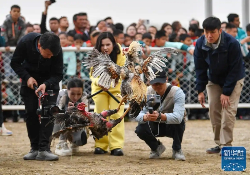 Шы?жа?ны? ша?ын ?алашы?ында?ы фермерлер мен малшыларды? спорт ойындары